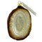 Ornaments To Remember 4.75 In Coconut Tree Ornament , Fruit Vegetable Palm Tropical
